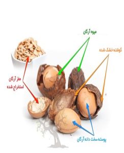 خواص روغن آرگان لاکچری کوین