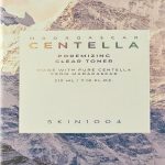 Centella soothing and clarifying toner 210 ml Madagascar Skin 1004 3.jpg